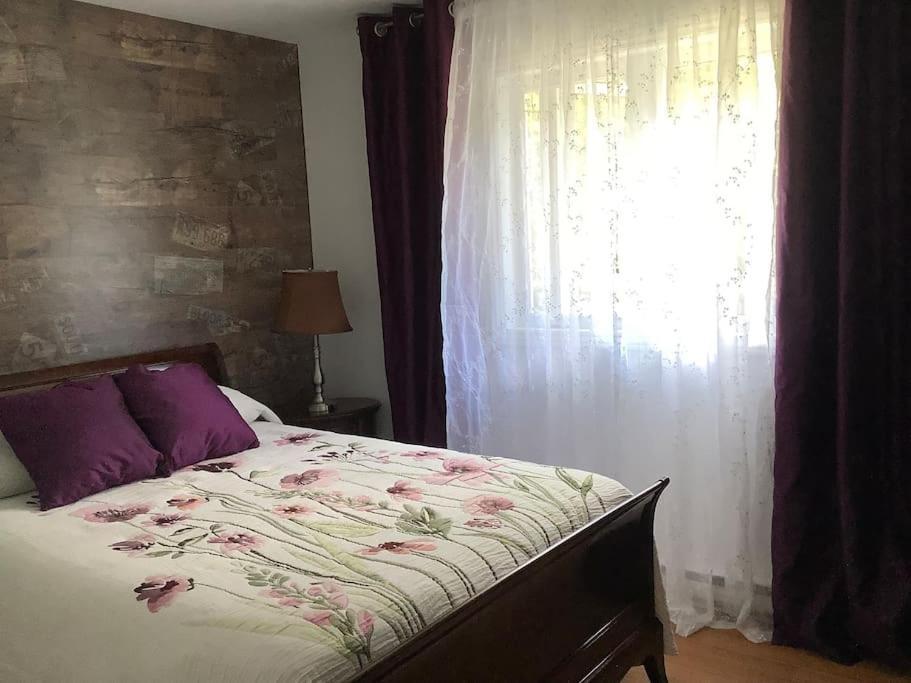 Chalet Pres Du Mont Megantic Villa La Patrie Kültér fotó